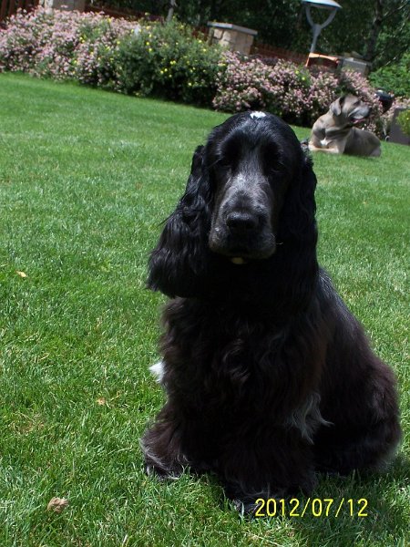 1 Červenec  2012.jpg